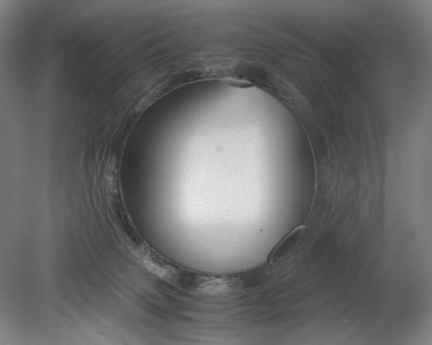 X0000080800083200701021301