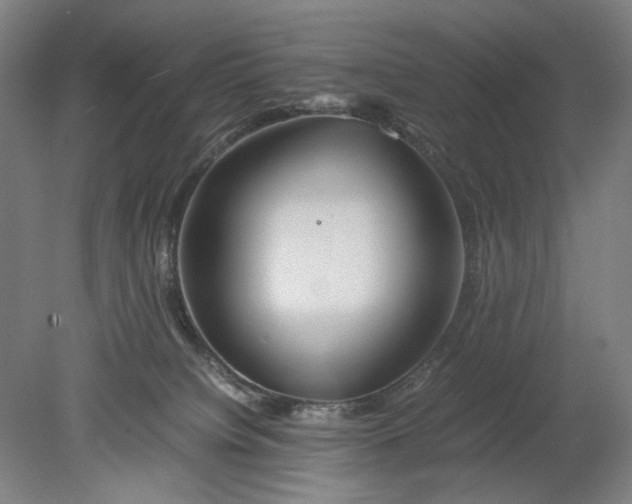 X0000080800084200701021301