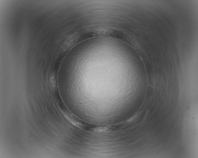 X0000080800086200701021301
