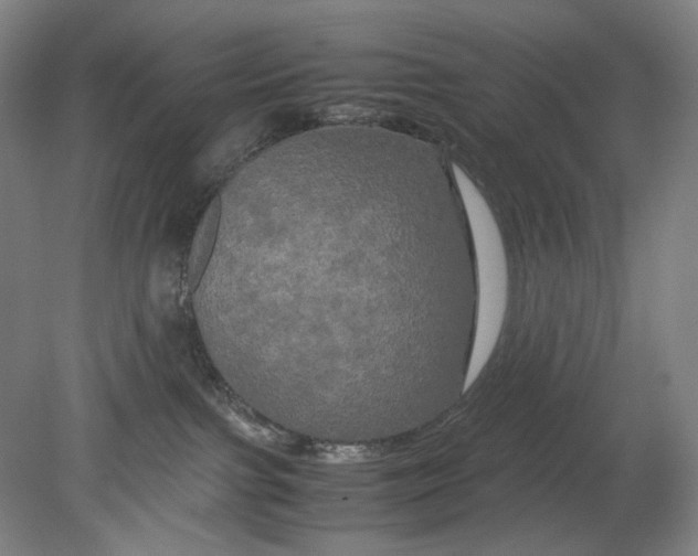 X0000080800091200701021301