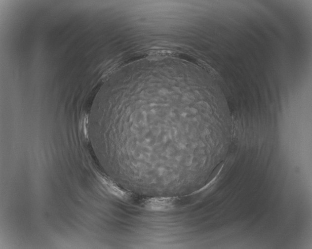 X0000080800094200701021301