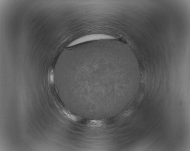 X0000080800095200701021301