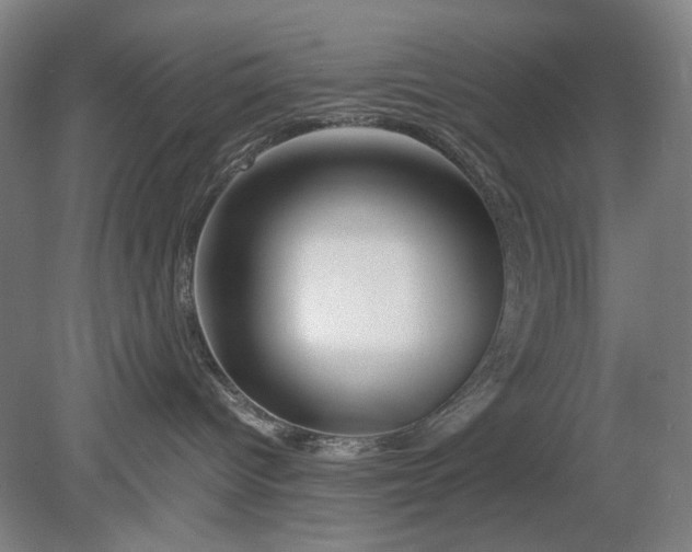 X0000080800096200701021301