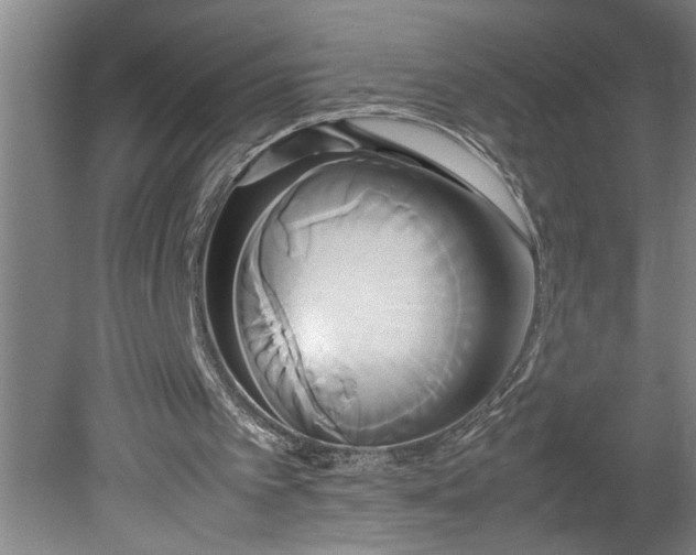 X0000080800097200701021300
