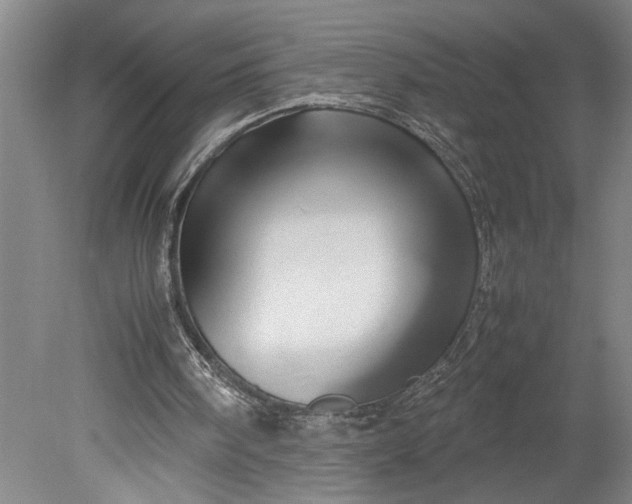X0000080800098200701021300