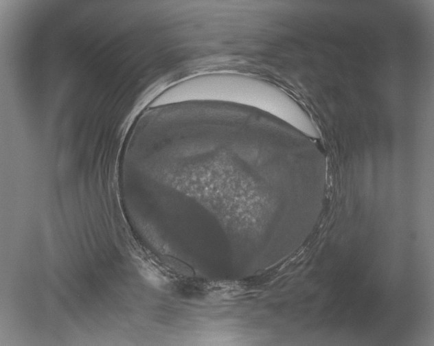 X0000080800099200701021300