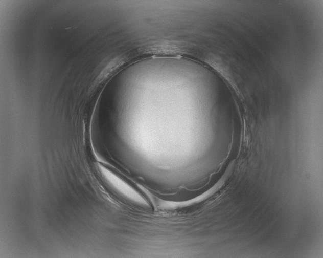 X0000080800109200701021300
