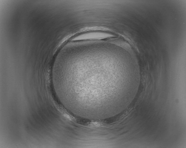 X0000080800111200701021300