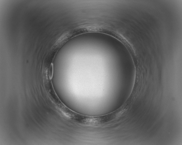 X0000080800117200701021300