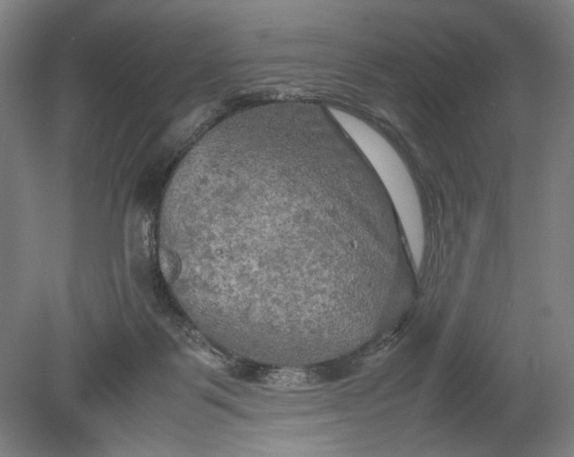 X0000080800123200701021300
