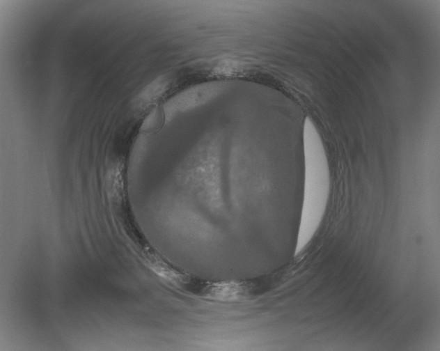 X0000080800127200701021300