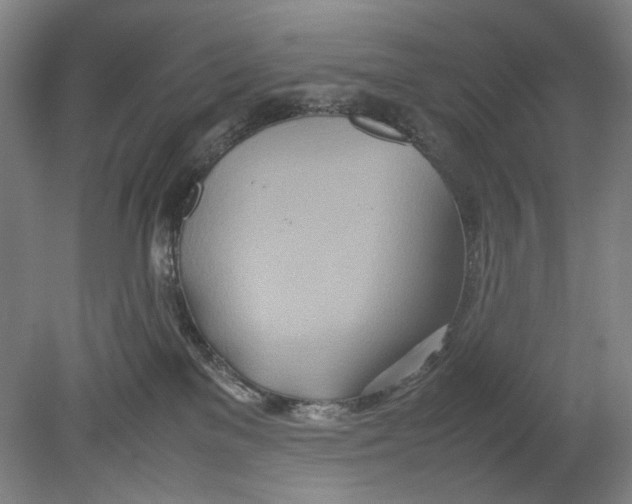 X0000080800137200701021259