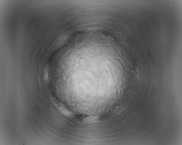 X0000080800138200701021259