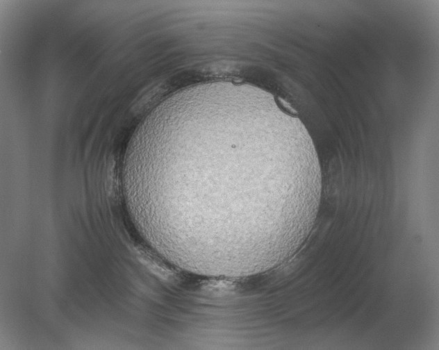 X0000080800140200701021259