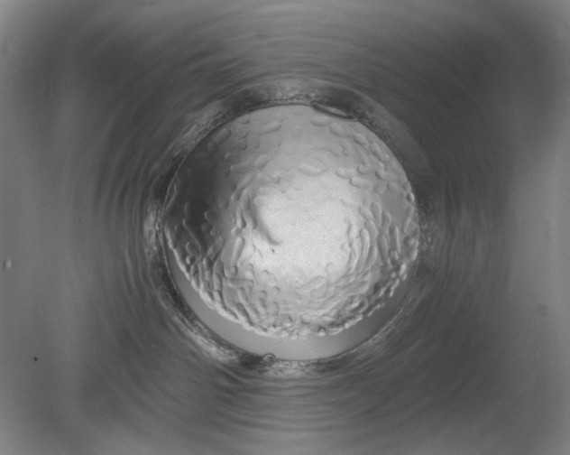 X0000080800142200701021259