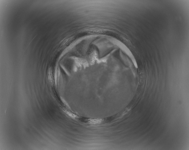 X0000080800143200701021259