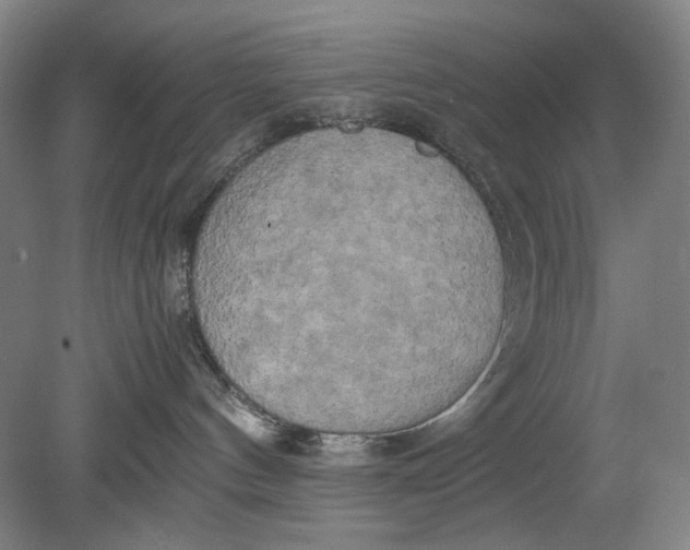 X0000080800144200701021259