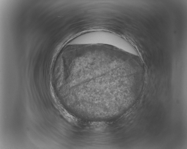 X0000080800145200701021259