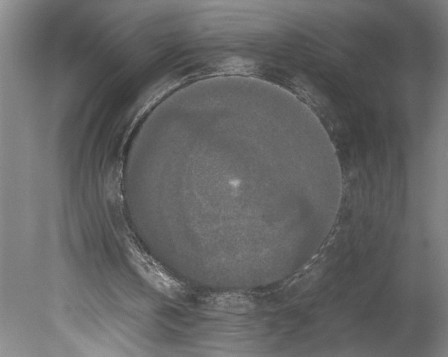 X0000080800146200701021259