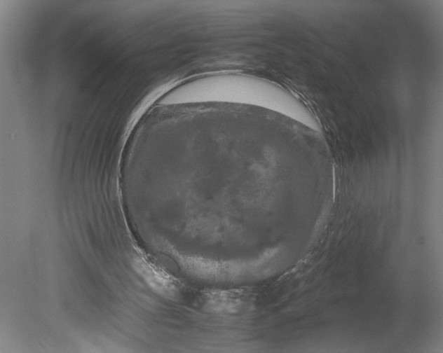 X0000080800147200701021259