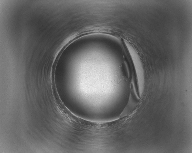 X0000080800148200701021259