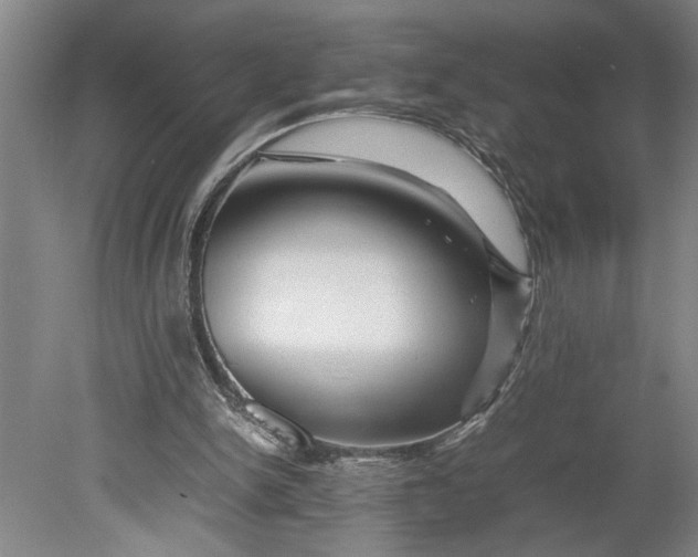 X0000080800150200701021259