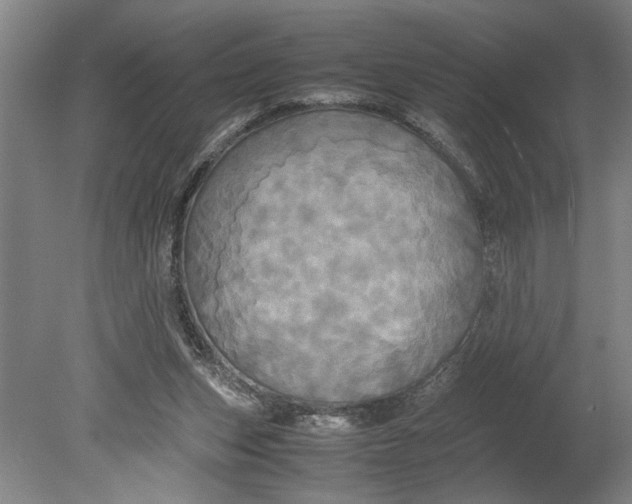 X0000080800159200701021259