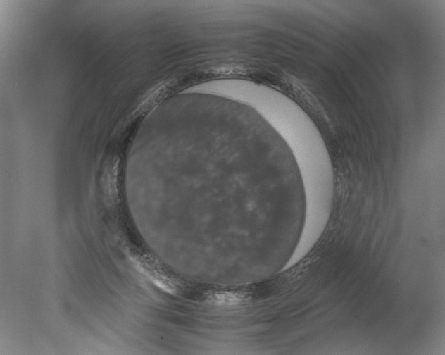 X0000080800163200701021259