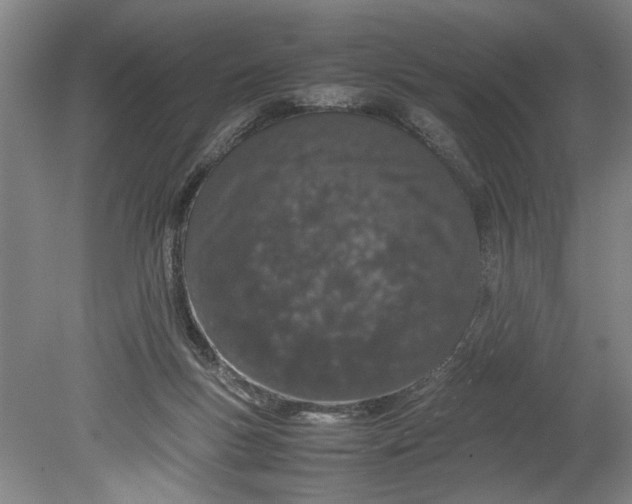 X0000080800167200701021259