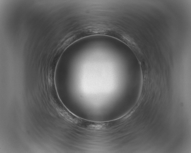 X0000080800170200701021259