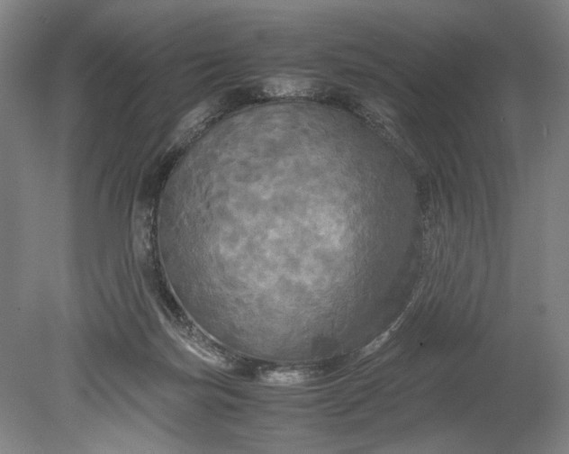 X0000080800171200701021259