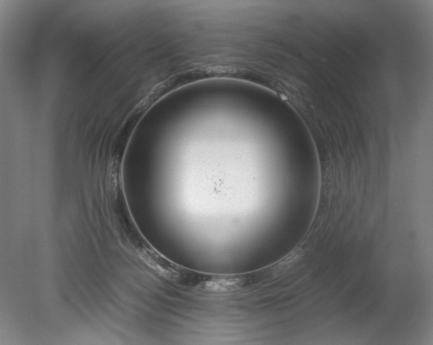 X0000080800172200701021259