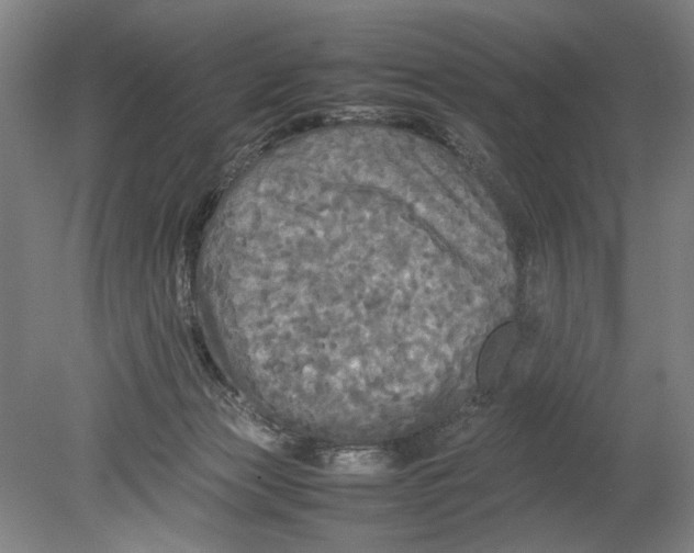 X0000080800173200701021259