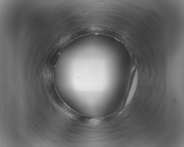 X0000080800176200701021259