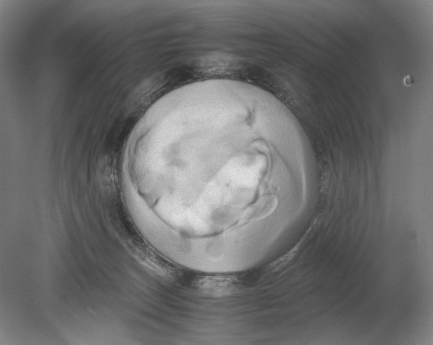 X0000080800179200701021259