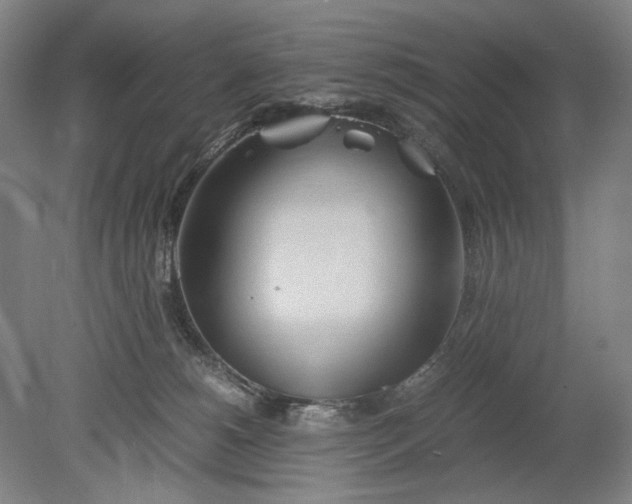 X0000080800180200701021259
