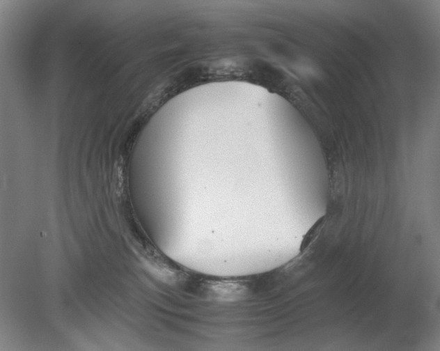 X0000080800183200701021259