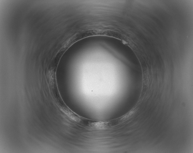 X0000080800184200701021259