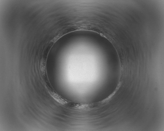 X0000080800186200701021259