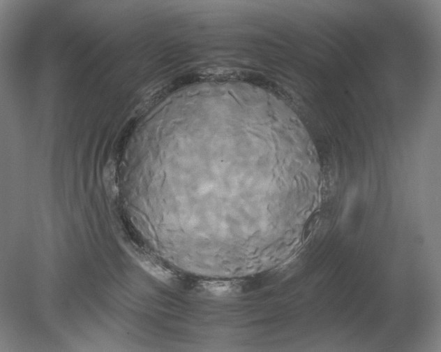 X0000080800187200701021259