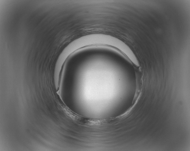 X0000080800190200701021259