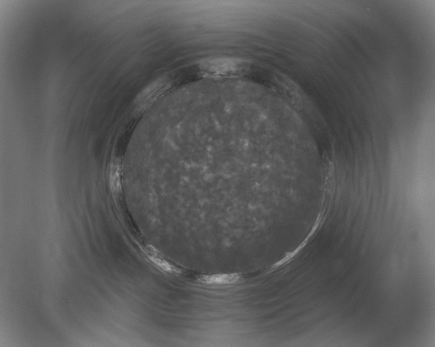 X0000080800191200701021259
