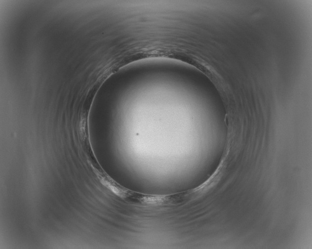 X0000080800192200701021259