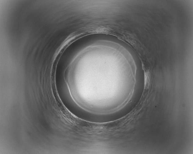 X0000080800195200701021259