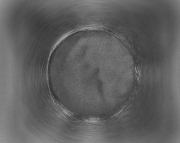 X0000080800196200701021258
