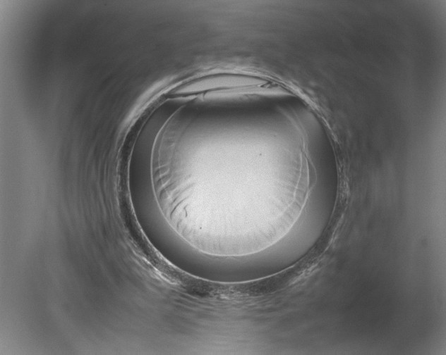 X0000080800199200701021258