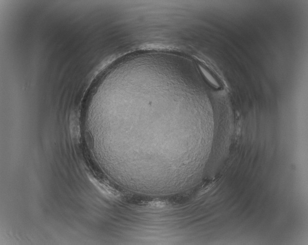 X0000080800204200701021258