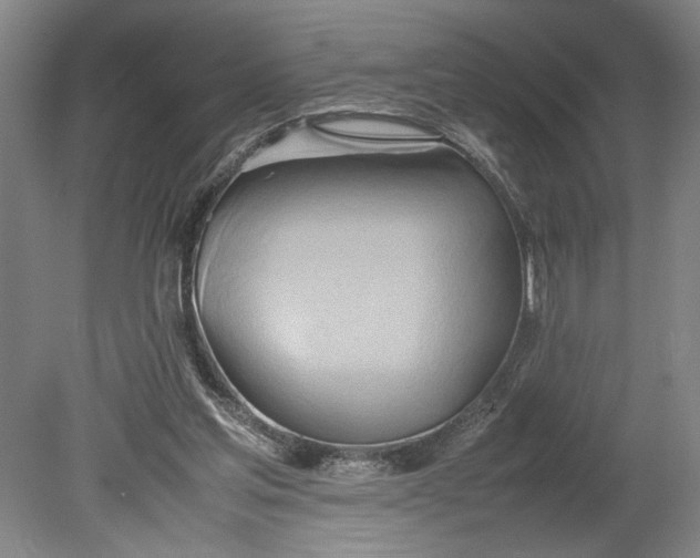 X0000080800205200701021258