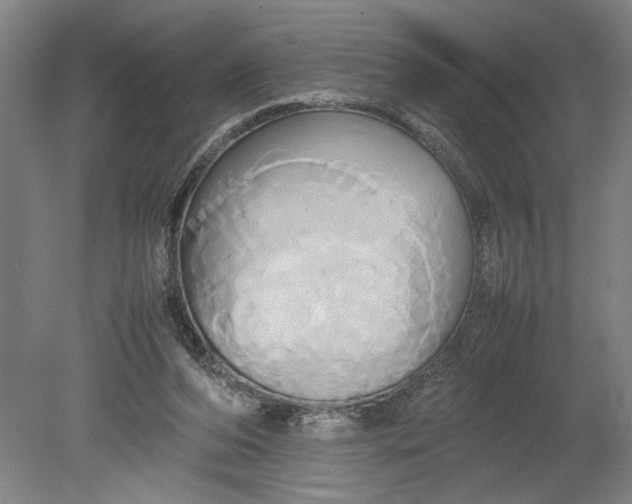 X0000080800208200701021258