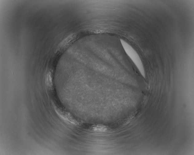X0000080800214200701021258